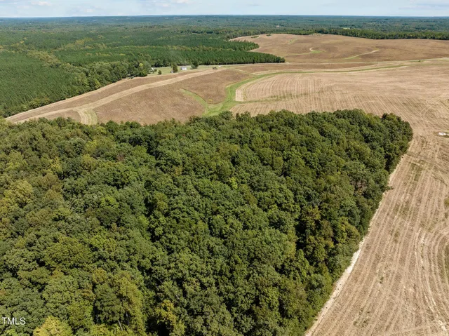 a view of an ocean and beach