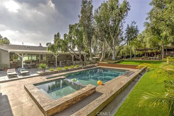 a view of backyard with potted plants and large trees