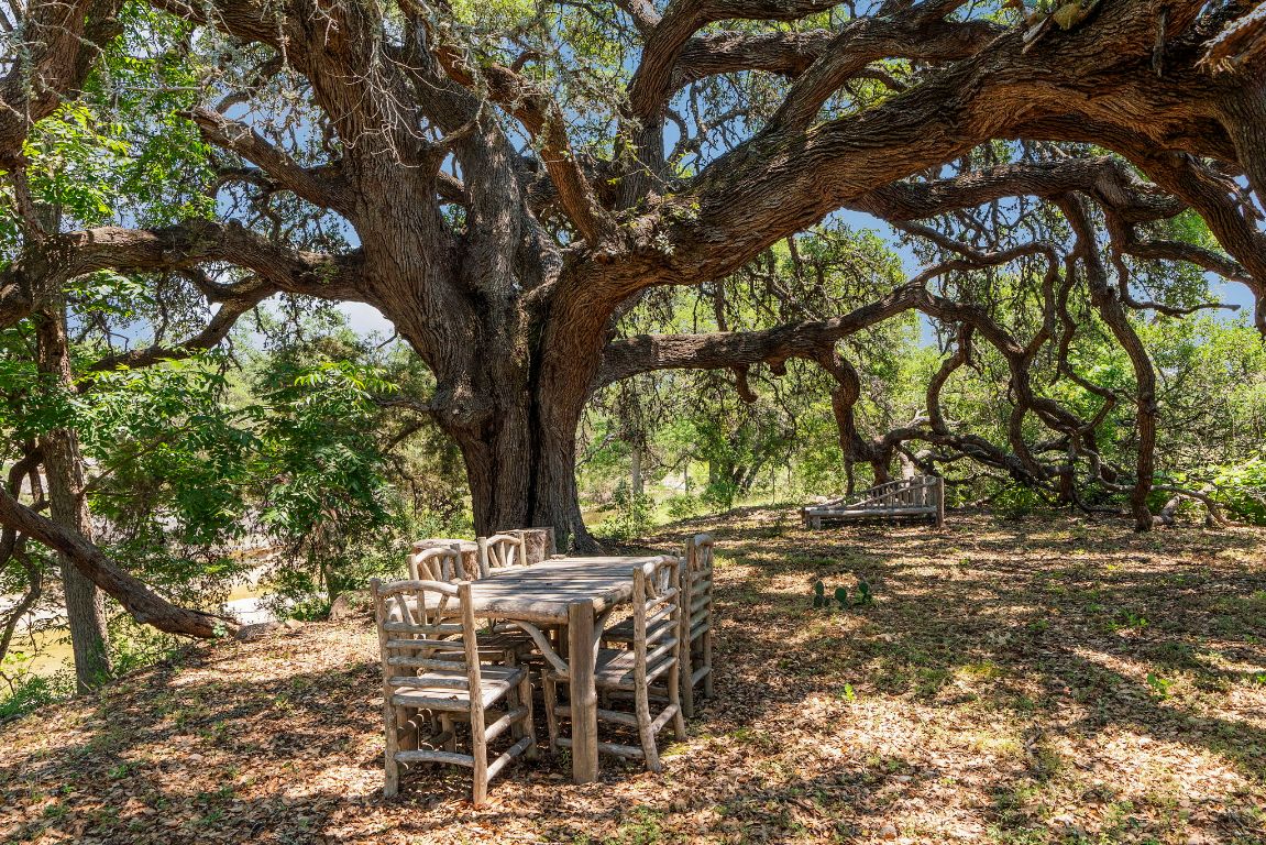4073 Bell Springs Road Dripping Springs, TX 78620 - Photo 3 of 38 a view of an outdoor space with yard
