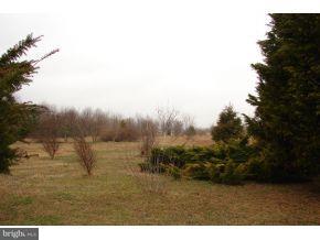 33578 Shockley Road Laurel, DE 19956 - Photo 11 of 12 Gallery Image 11