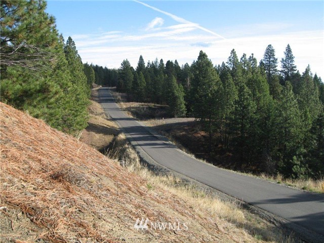 Lot#12 Summit View Road Cle Elum, WA 98922 - Photo 12 of 12 Gallery Image 12