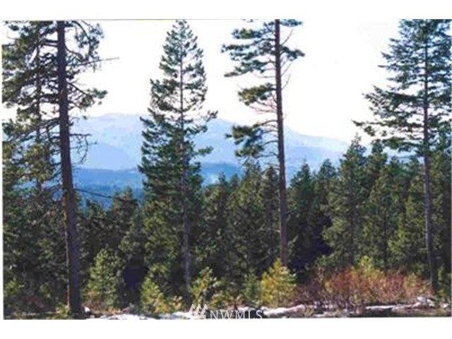 Lot#12 Summit View Road Cle Elum, WA 98922 - Photo 3 of 12 Gallery Image 3