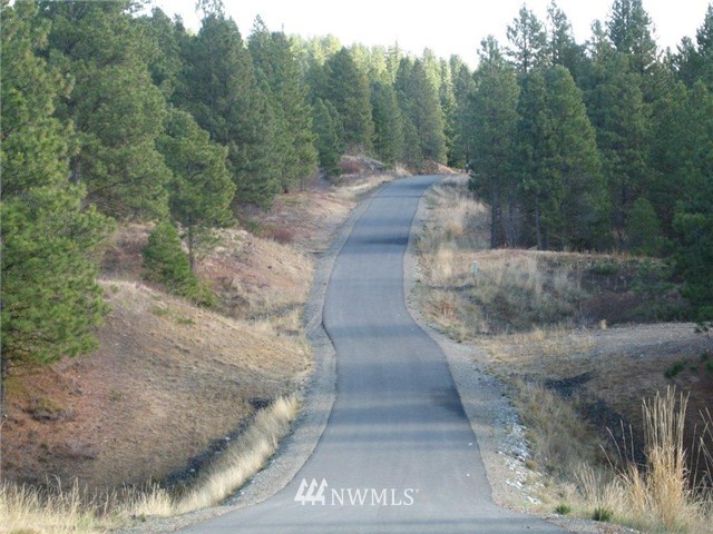 Lot#12 Summit View Road Cle Elum, WA 98922 - Photo 10 of 12 Gallery Image 10