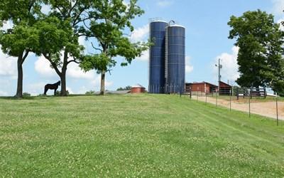 3468 Thompson Road Springfield, TN 37172 - Photo 19 of 20 34 Acres of beautiful land
