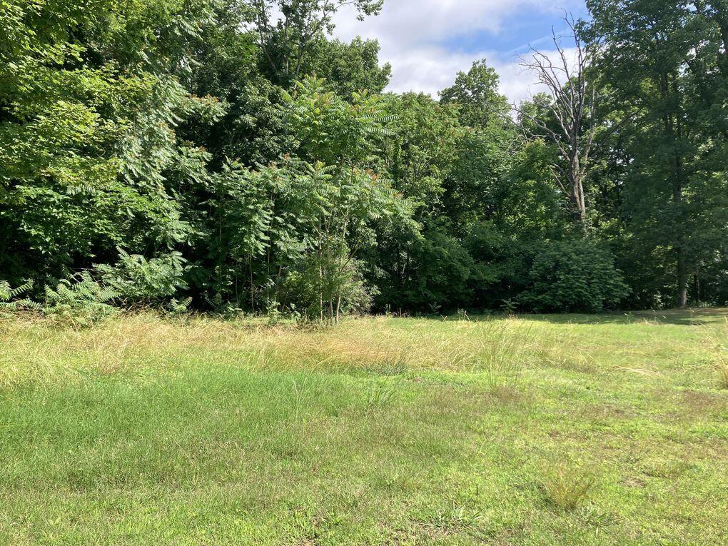 3829 Hamill Road Hixson, TN 37343 - Photo 2 of 2 98a4641da71ed16ddee6449ca333571fl-b28820