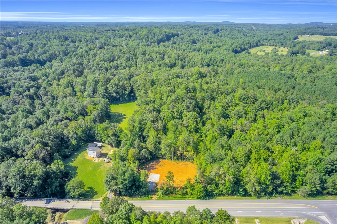 167 Cherokee Trail Easley, SC 29640 - Photo 6 of 18 An expansive aerial perspective highlights a serene landscape with mature trees and vast open space, offering ultimate privacy.