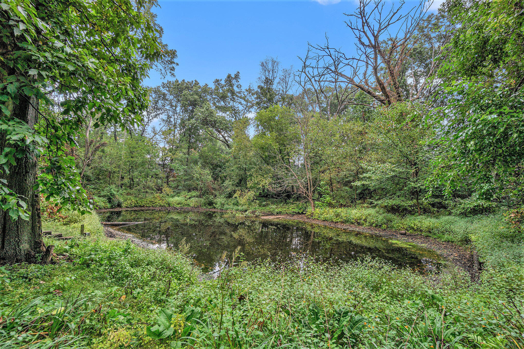 7721 5th Street Mattawan, MI 49071 - Photo 55 of 63 010_file_490