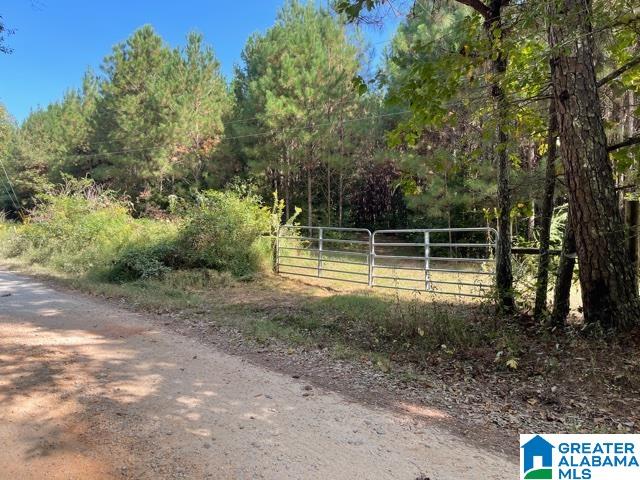 880 Bill Price Road, Unit 40 AC Daviston, AL 36256 - Photo 4 of 7