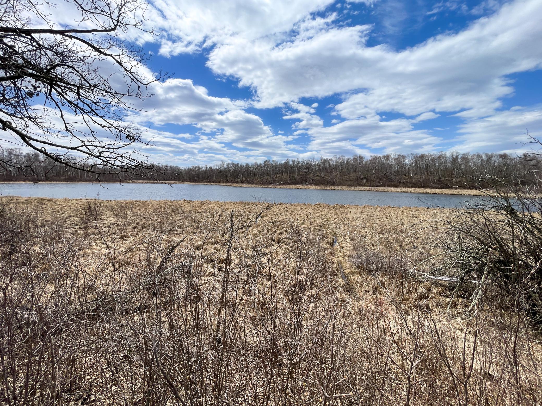 Tbd1 Boot Lake Road Southwest Bemidji, MN 56601 - Photo 20 of 41