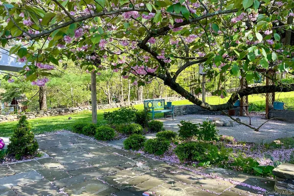 a view of a yard with a tree