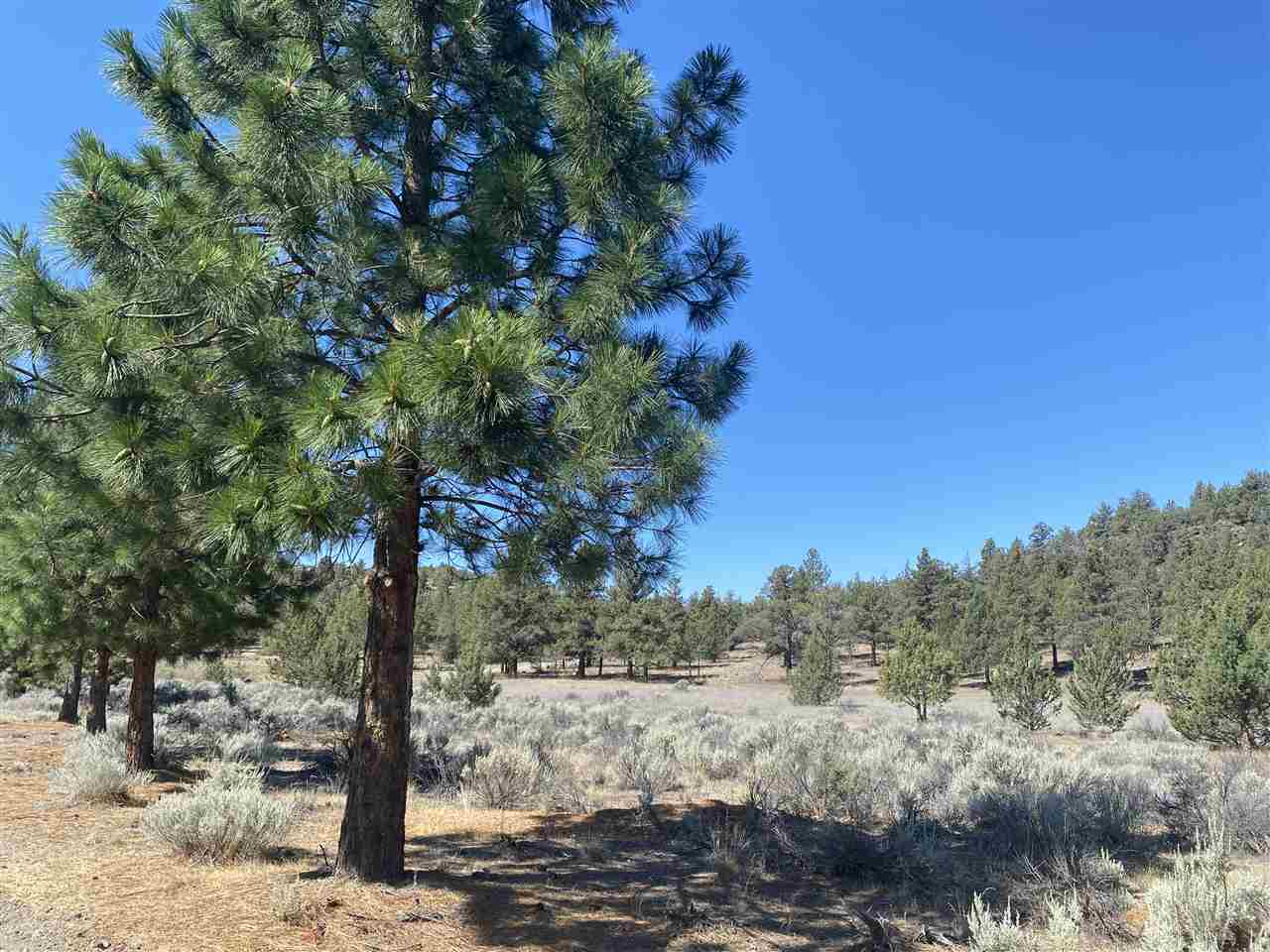 Corner Hidden Valley Road Weed, CA 96094 - Photo 3 of 10 Gallery Image 3