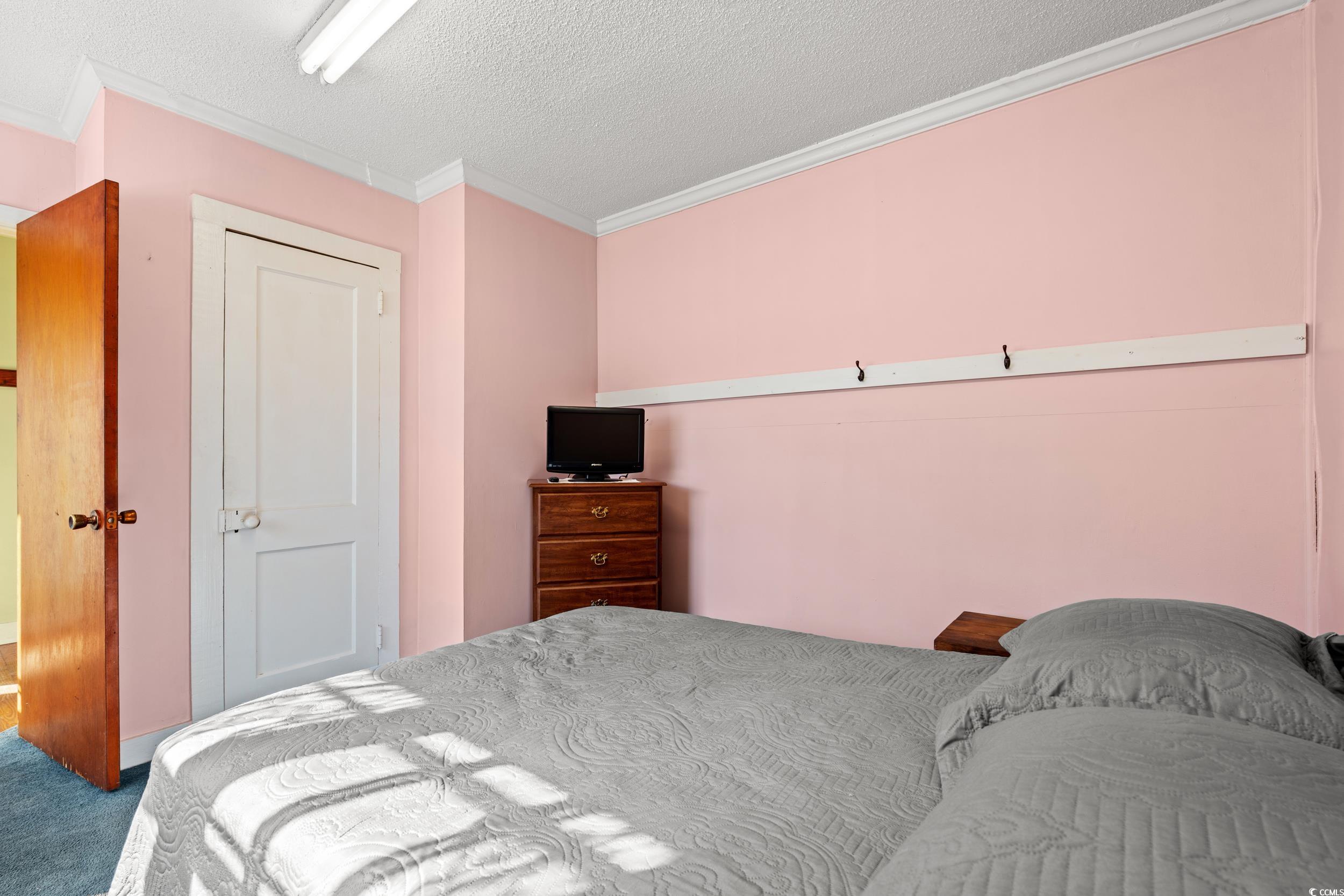 1861 Jenerette Street Mullins, SC 29574 - Photo 18 of 36 Carpeted bedroom featuring a textured ceiling and ornamental molding