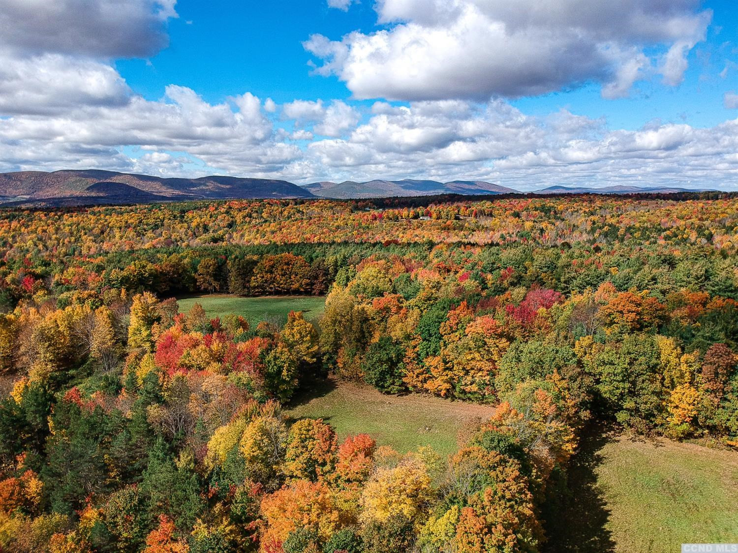 69 Alpine Vw Road Prattsville, NY 12468 - Photo 8 of 20 Photo 8