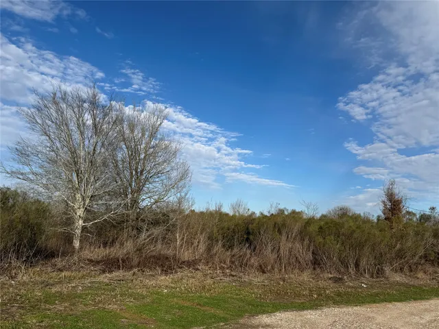 $100,000 | 0 Chapman Road, Beasley, TX 77417