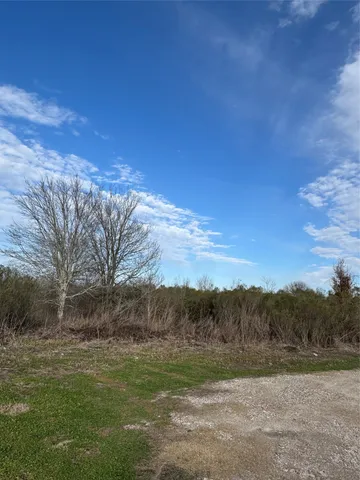 $100,000 | 0 Chapman Road, Beasley, TX 77417