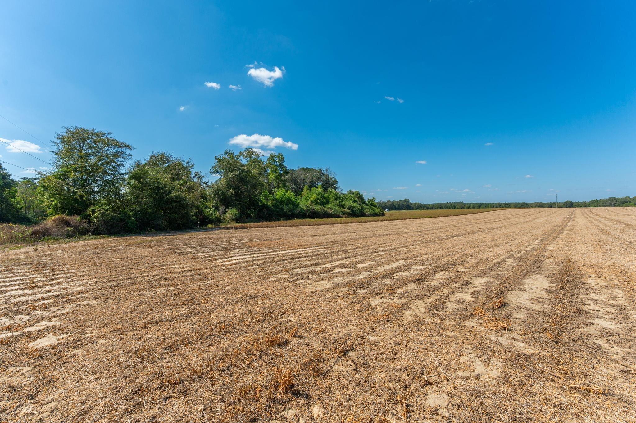 4.91-d Acre Mcphail Farm Road Florala, AL 36442 - Photo 4 of 8 MC ef10