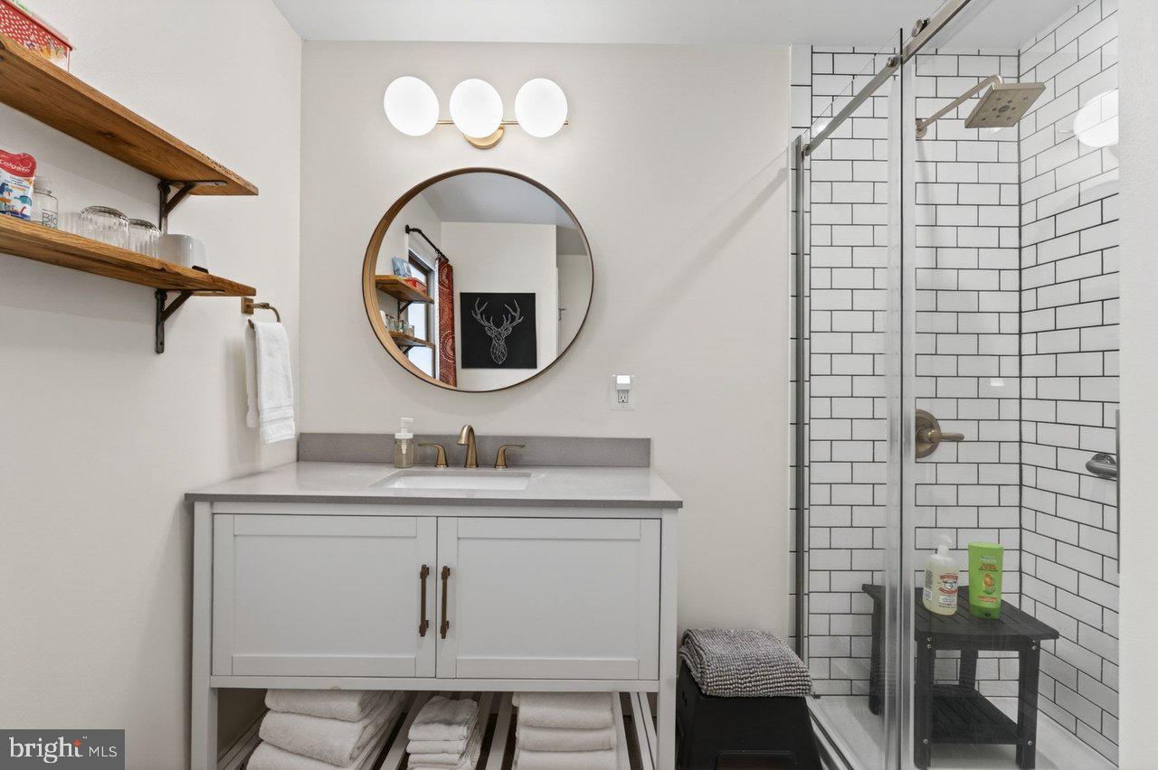 202 Lake Arrowhead Road Luray, VA 22835 - Photo 20 of 47 a bathroom with a sink a mirror and a shower