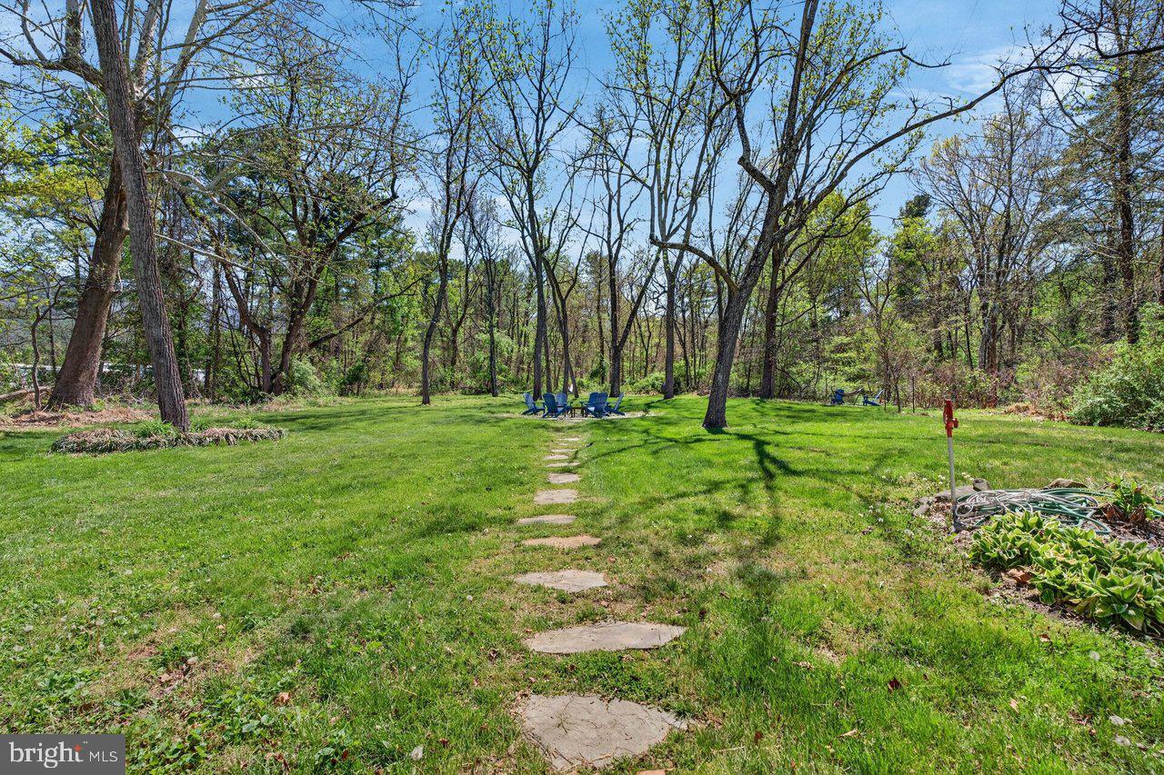 202 Lake Arrowhead Road Luray, VA 22835 - Photo 33 of 47 a view of a park with large trees