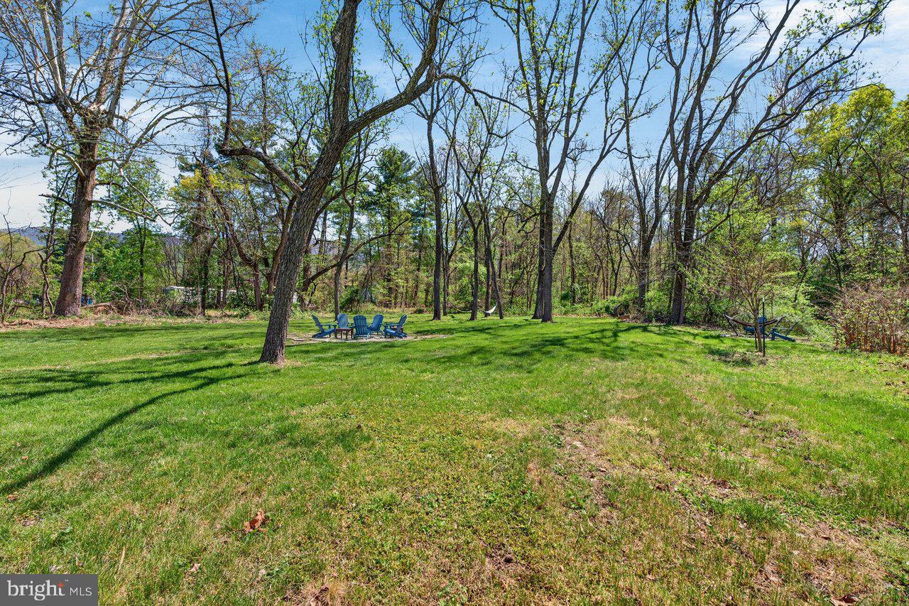 202 Lake Arrowhead Road Luray, VA 22835 - Photo 34 of 47 a view of yard with trees