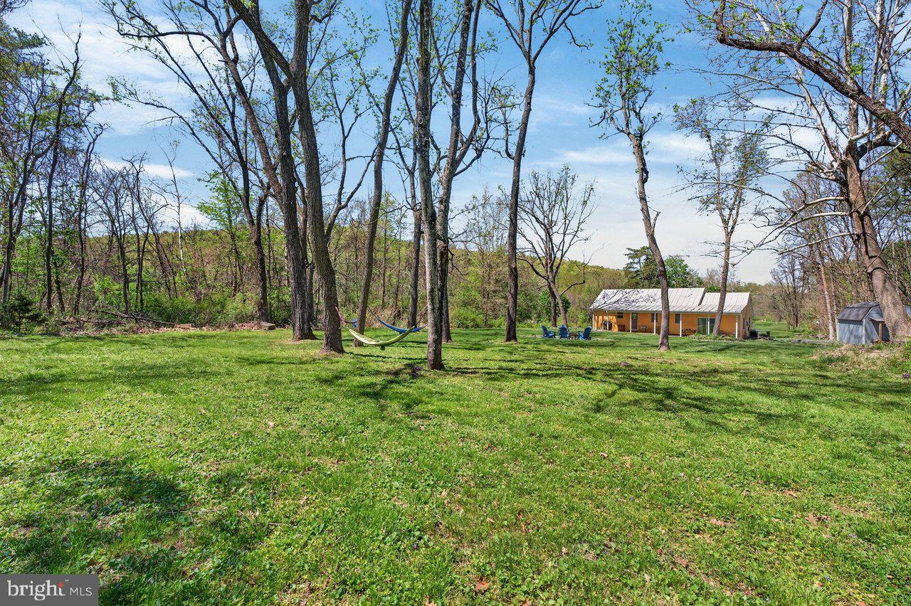 202 Lake Arrowhead Road Luray, VA 22835 - Photo 38 of 47 a view of backyard with green space