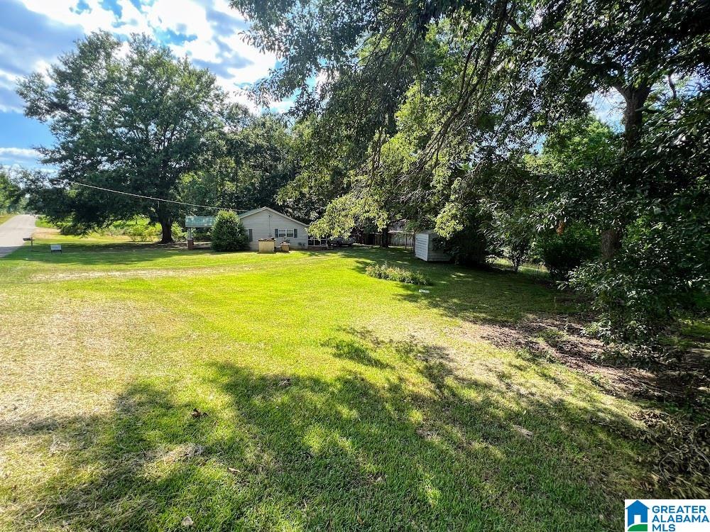 14791 County Road 10 Ranburne, AL 36273 - Photo 17 of 29