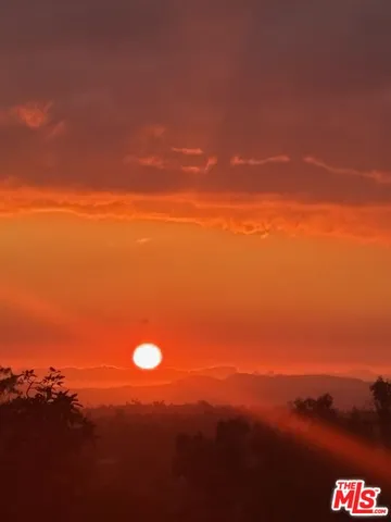 a view of a house with a yard and potted plants