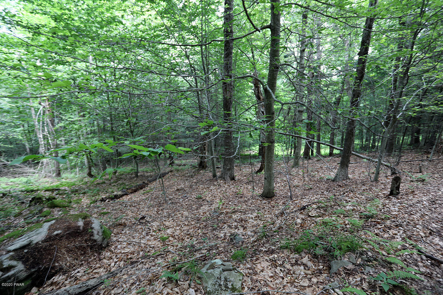 0 Minckler Mountain Road Equinunk, PA 18417 - Photo 20 of 39