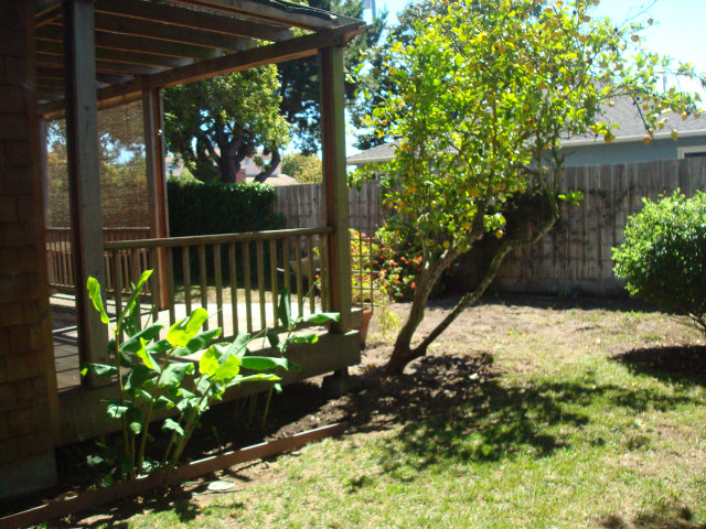 3401 Roland Drive Santa Cruz, CA 95062 - Photo 18 of 20 a view of a backyard with wooden fence