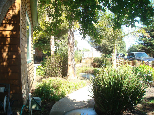 3401 Roland Drive Santa Cruz, CA 95062 - Photo 19 of 20 a view of a yard with plants