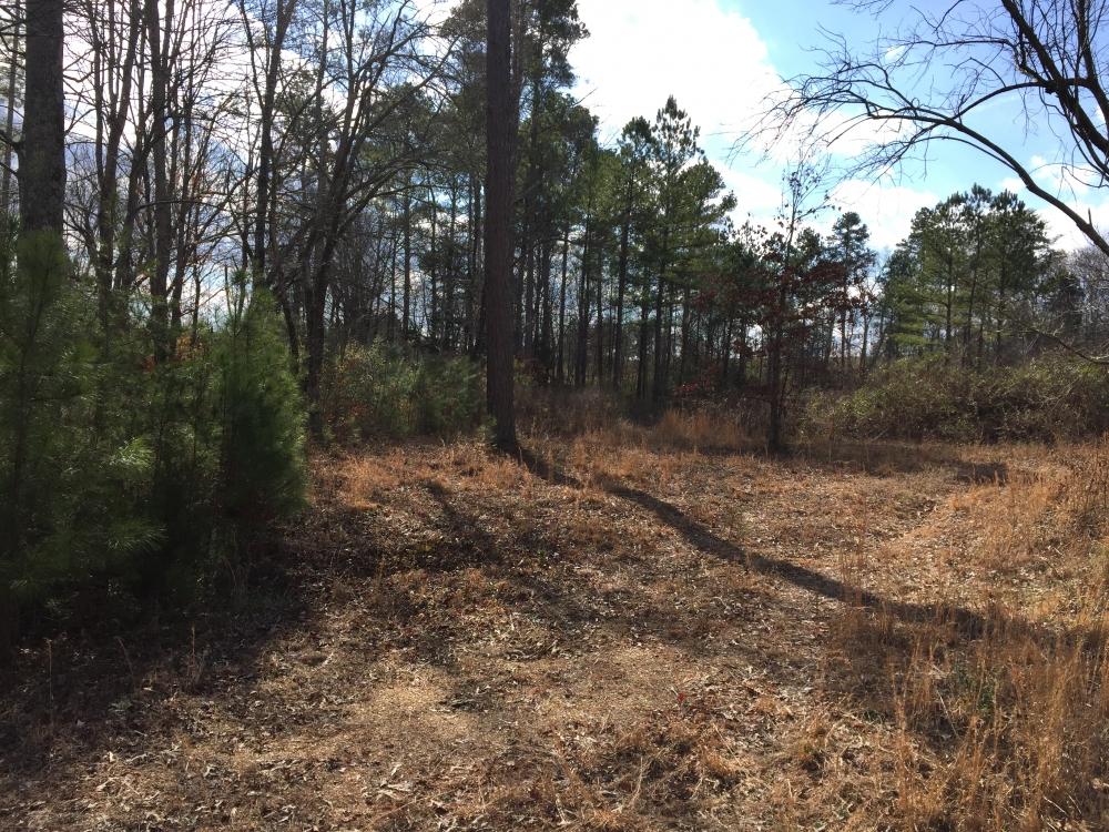 1700 Sweetwater Road Philadelphia, TN 37846 - Photo 22 of 23 22