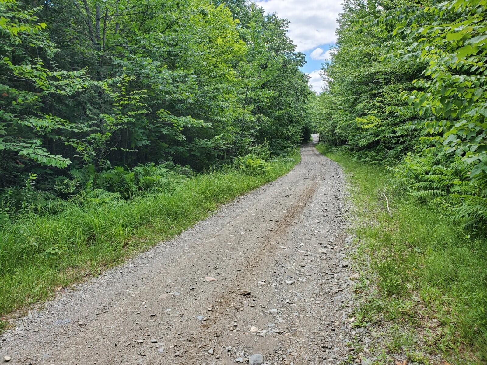 0 Ames Road Lee, ME 04487 - Photo 1 of 4 20210623_122003 (1)
