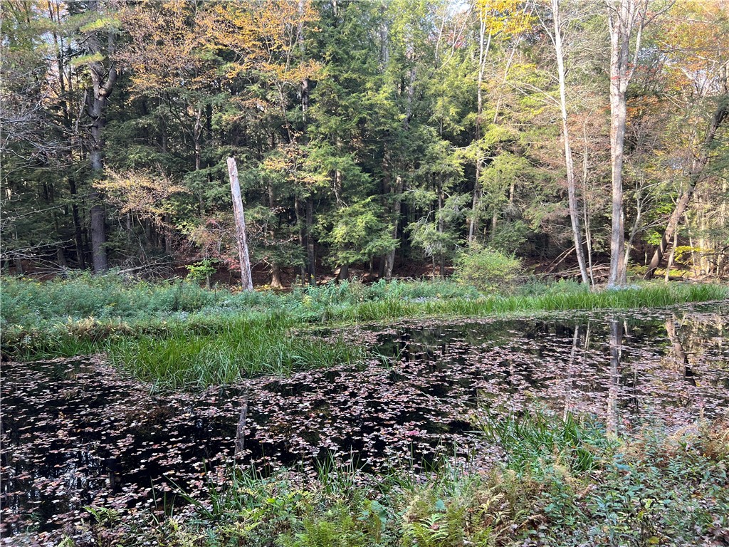 113 Cogshell Road Laurens, NY 13796 - Photo 36 of 46