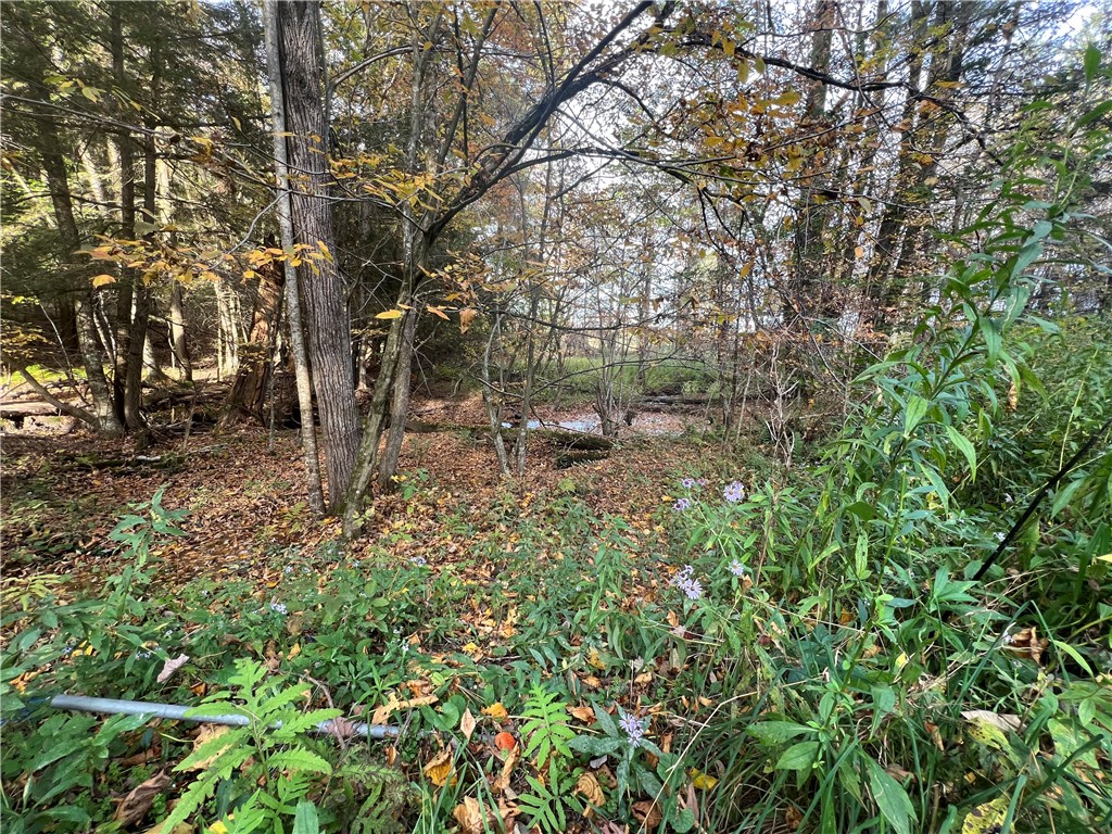 113 Cogshell Road Laurens, NY 13796 - Photo 39 of 46