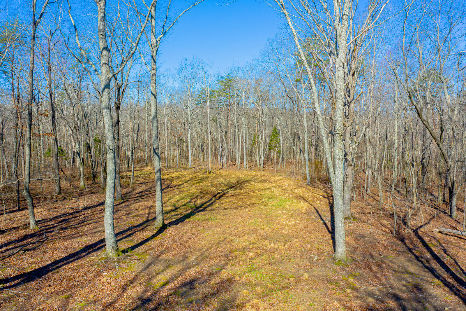 0 Moore North Road, Unit 117 Rising Fawn, GA 30738 - Photo 10 of 20 N-Moore-Rd-Land-Photos-16