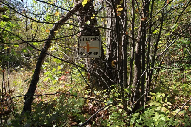 $69,000 | Tbd Tbd Xxx, Emily, MN 56447