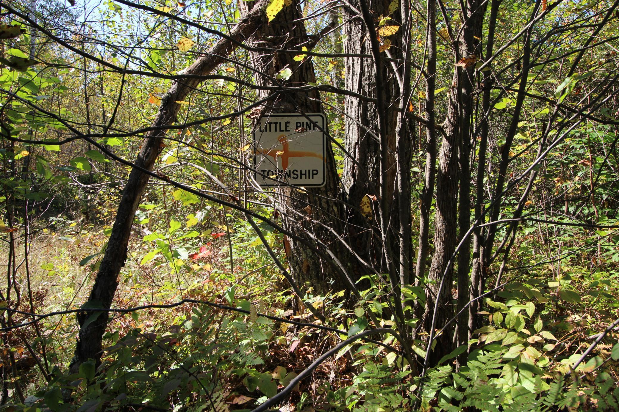 Tbd Tbd Xxx Emily, MN 56447 - Photo 4 of 6