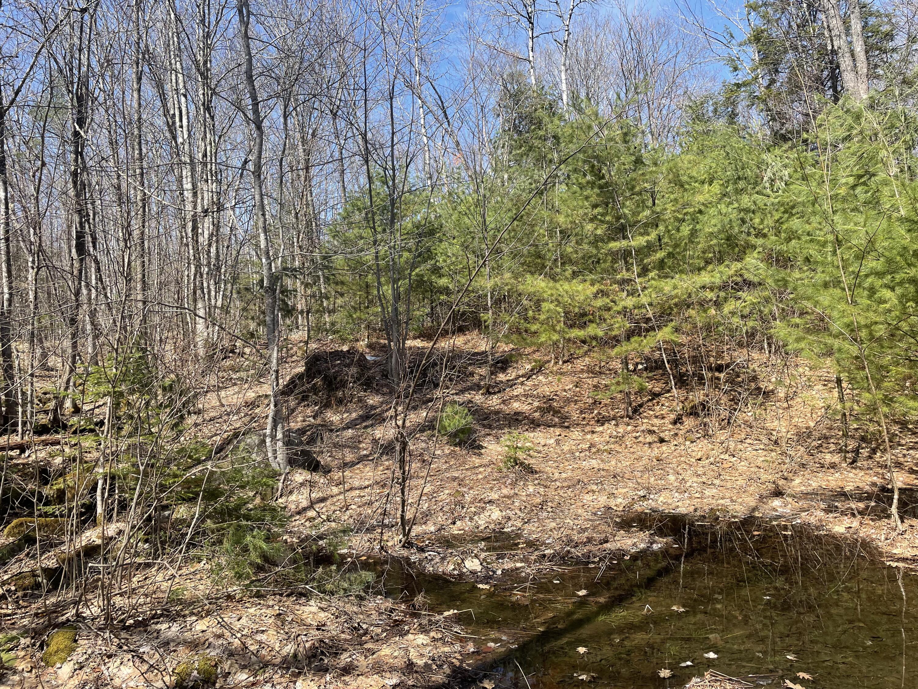 R6-lot50a Adams Road Chesterville, ME 04938 - Photo 3 of 13 IMG_2887