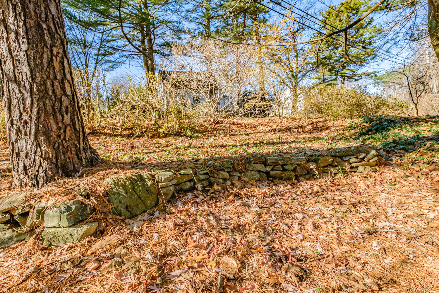 2 Hemlock Hill Road Cape Elizabeth, ME 04107 - Photo 59 of 61 20201124gp-62079