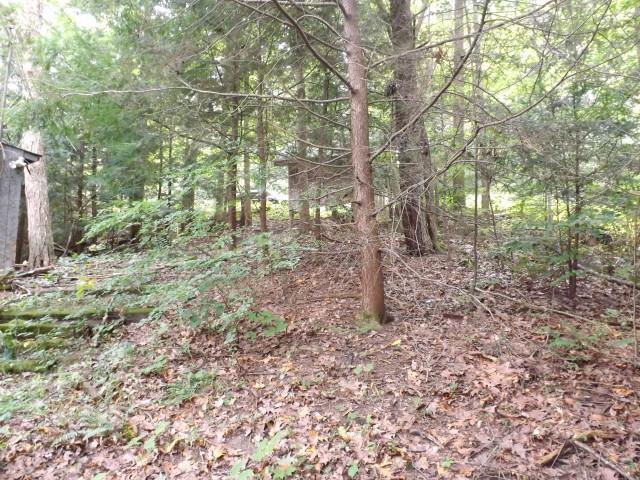 27778 Blackjack Road Logan, OH 43138 - Photo 7 of 7 Gallery Image 7