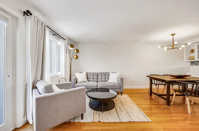 a living room with furniture a rug potted plant and a large window