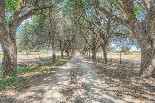 a view of yard with trees
