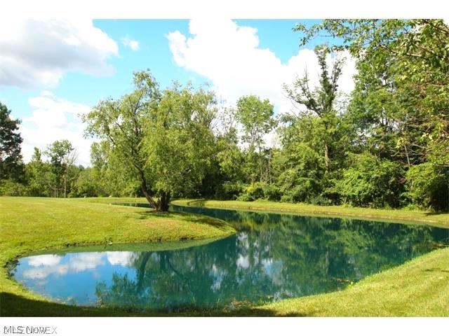 3720 Remsen Road Medina, OH 44256 - Photo 19 of 23