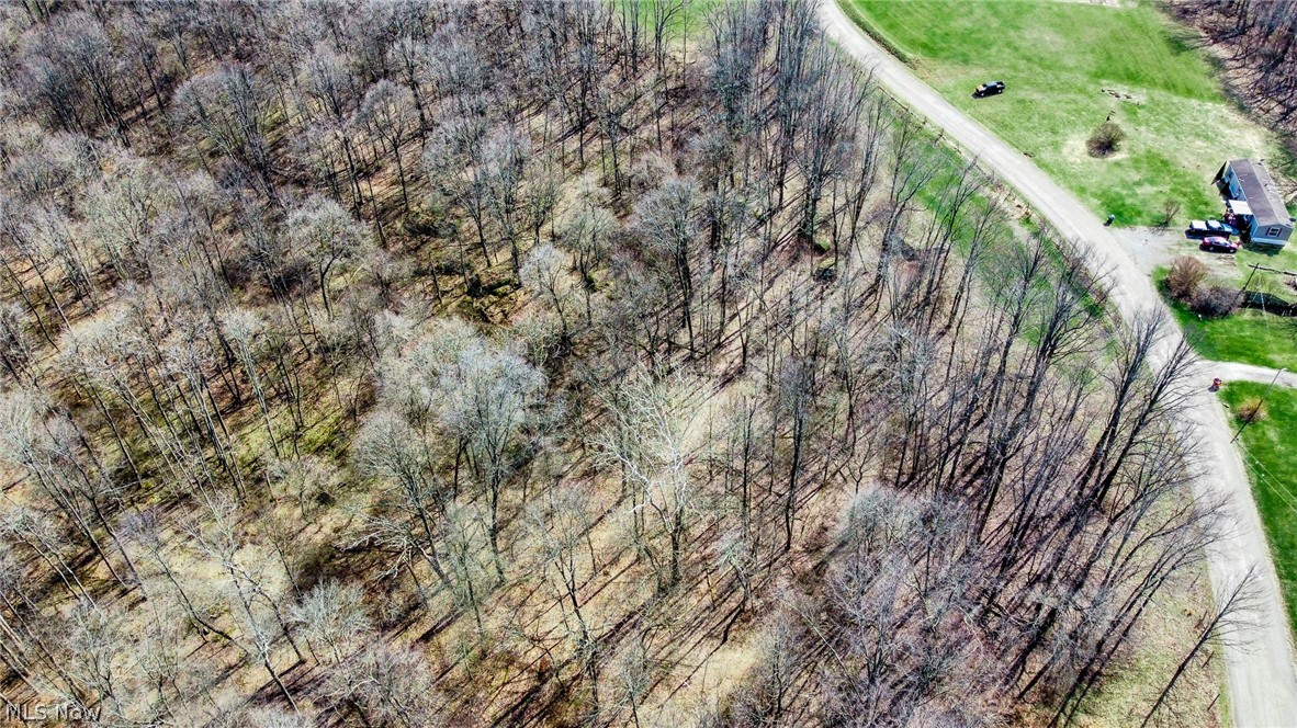 17805 Early Cemetary Road Kimbolton, OH 43749 - Photo 29 of 30 Aerial view