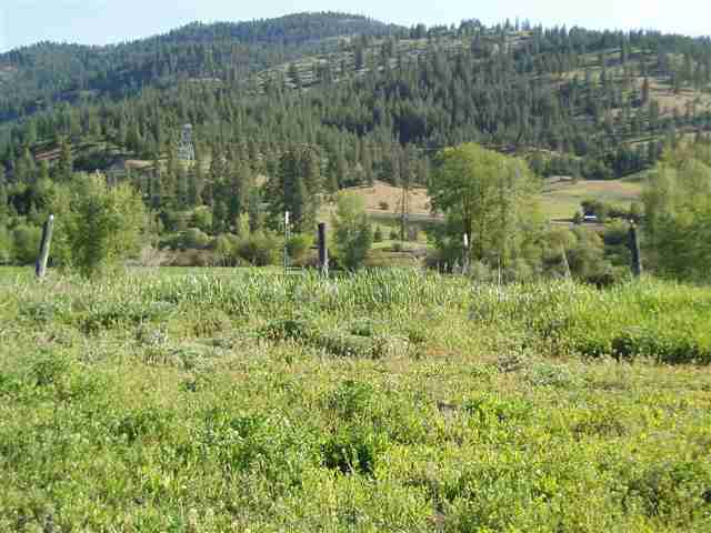 0 Blue Creek Road West Addy, WA 99101 - Photo 3 of 9