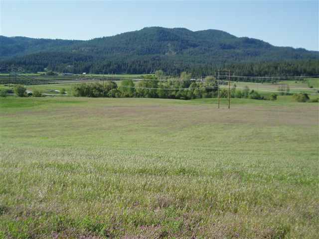 0 Blue Creek Road West Addy, WA 99101 - Photo 8 of 9