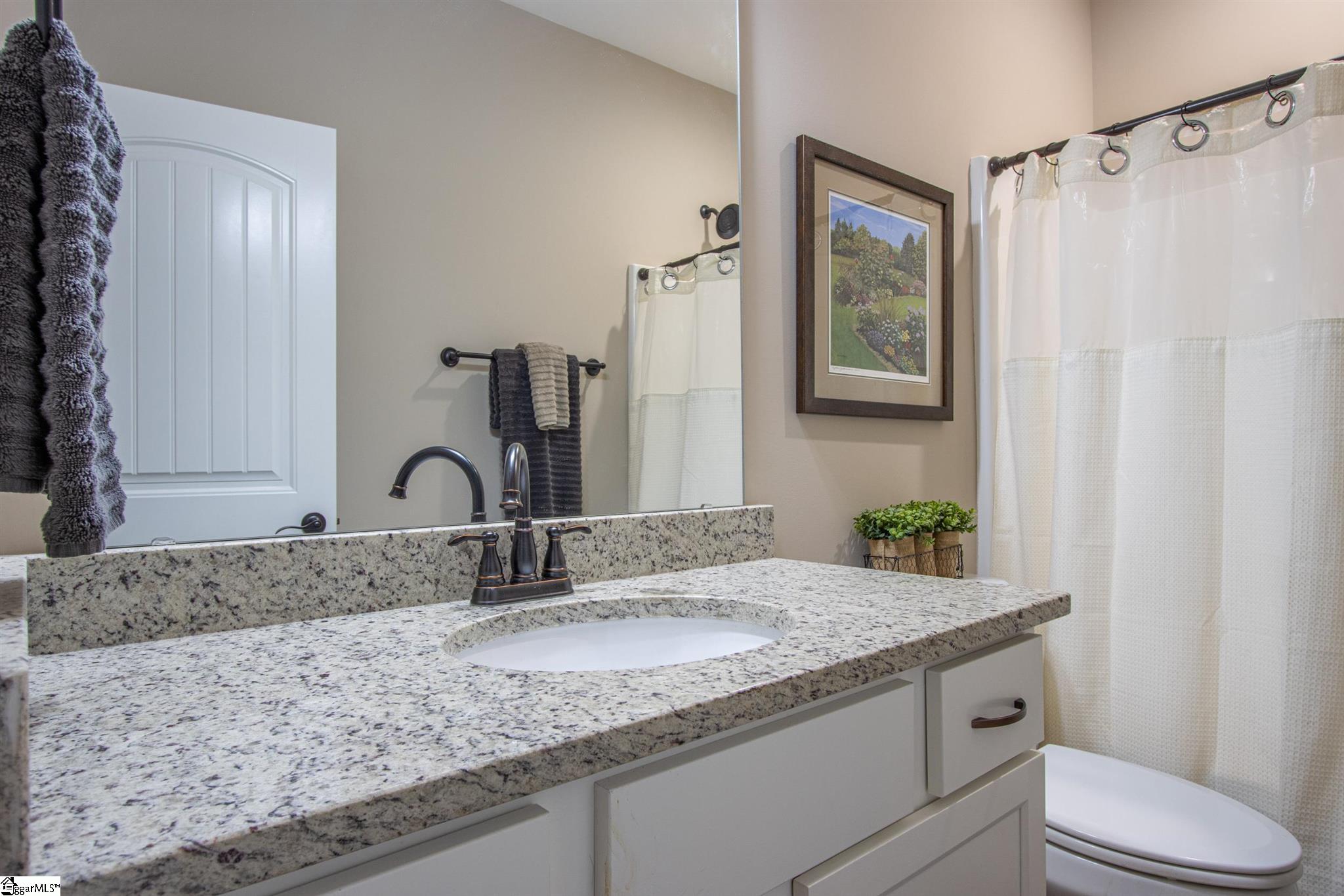 105 Wham Lawn Road Gray Court, SC 29645 - Photo 11 of 33