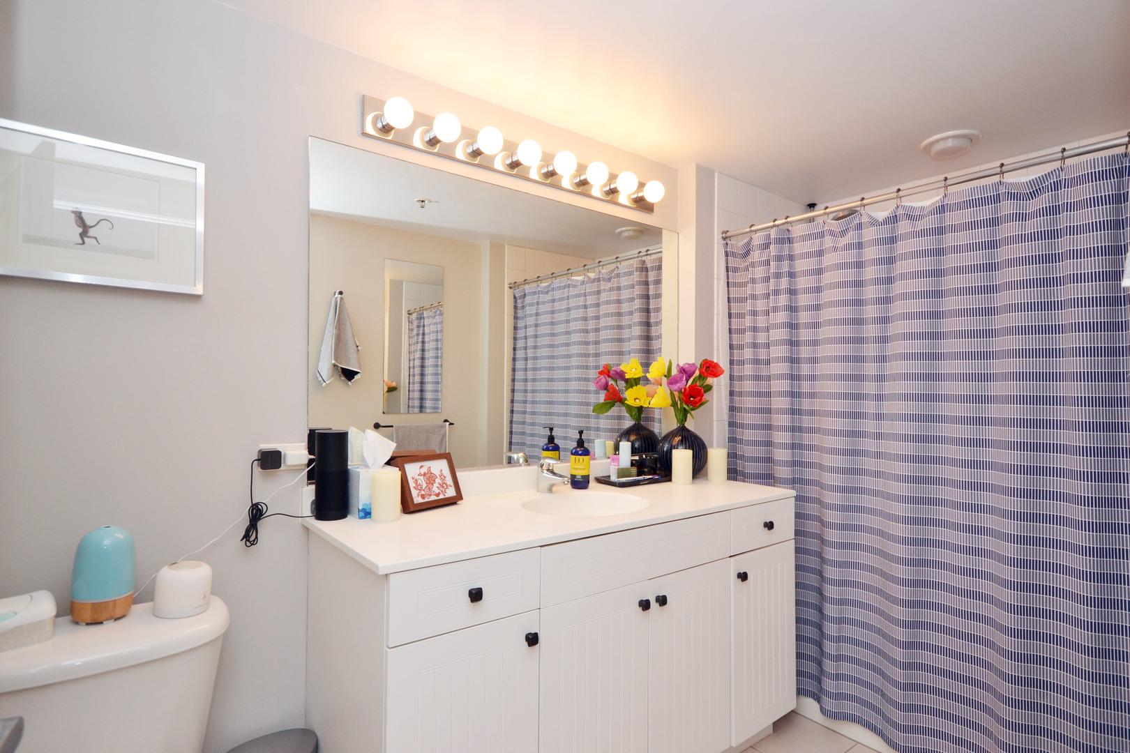 4848 North Sheridan Road, Unit 704 Chicago, IL 60640 - Photo 6 of 8 a bathroom with a sink vanity mirror and toilet
