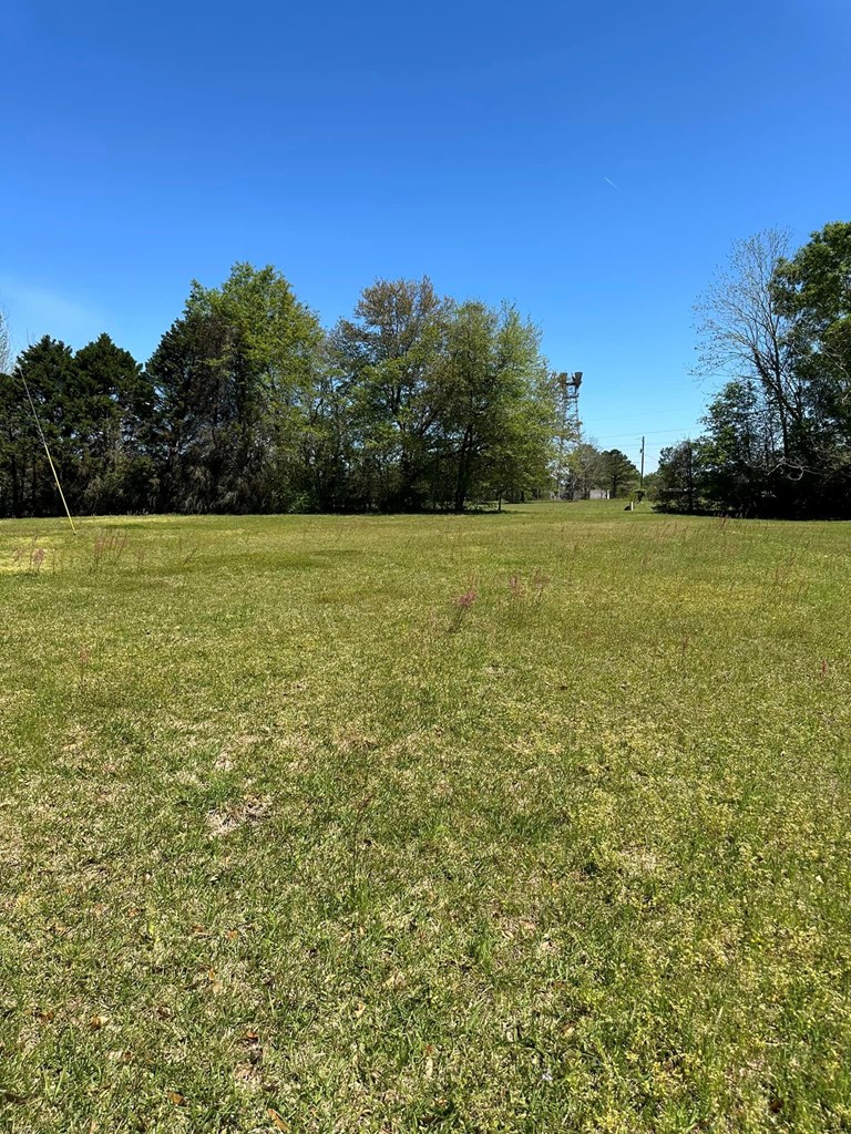 3858 Old Atmore Road Flomaton, AL 36441 - Photo 39 of 42