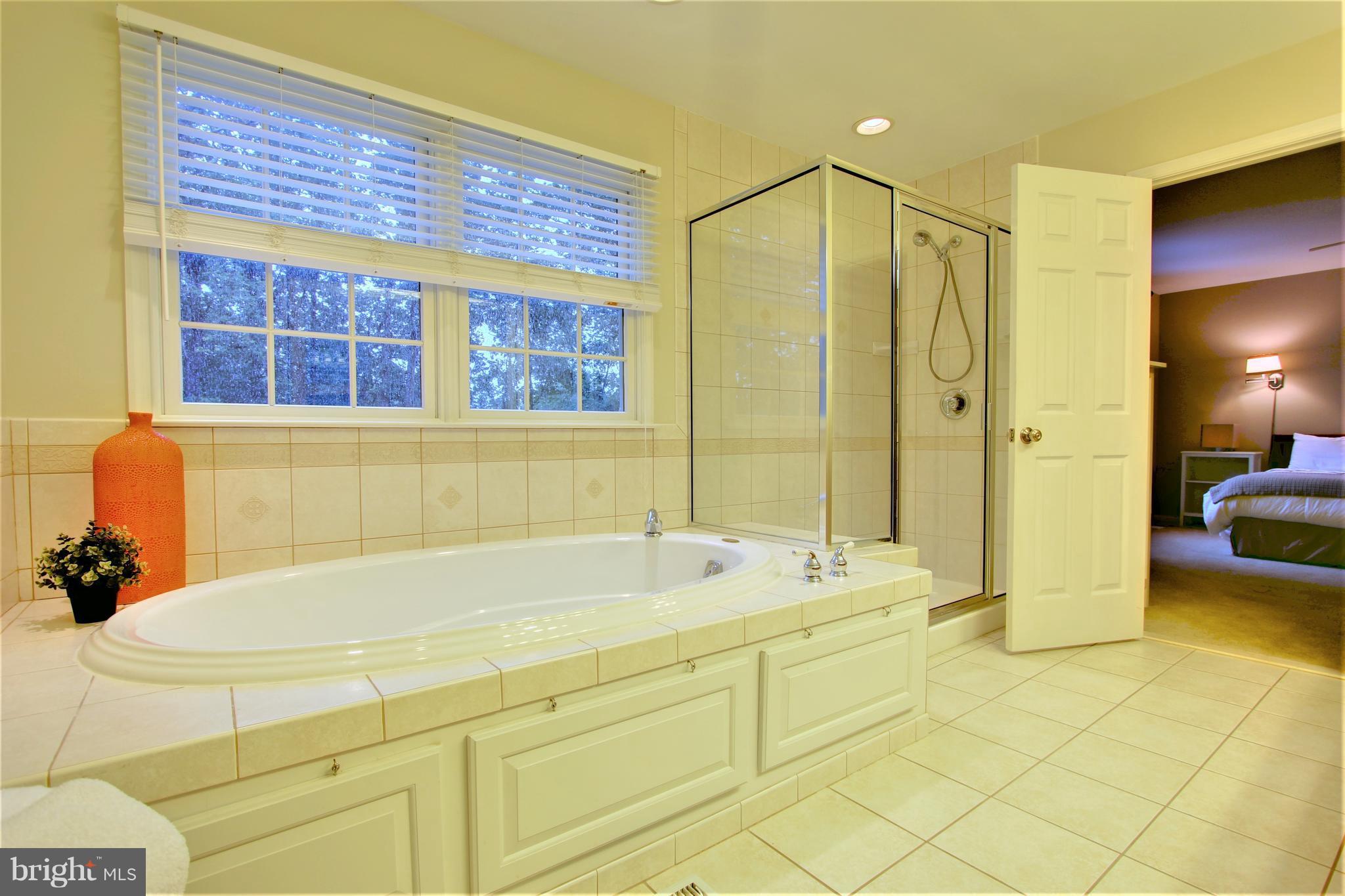10228 Scaggsville Road Laurel, MD 20723 - Photo 21 of 30 Beautifully updated. Jacuzzi tub with jets.