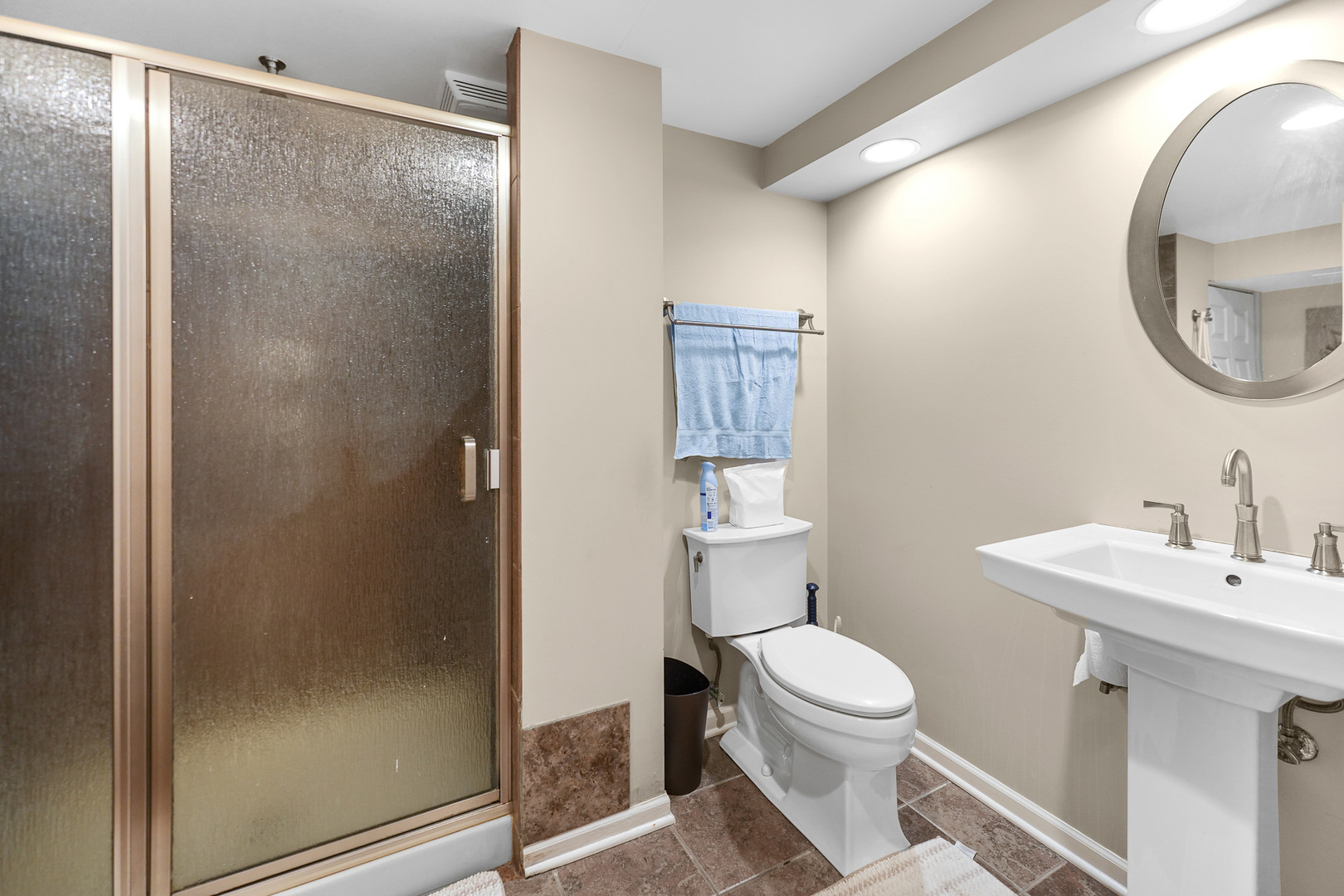 30 Joyce Lane Addison, IL 60101 - Photo 14 of 22 Gallery Image 14